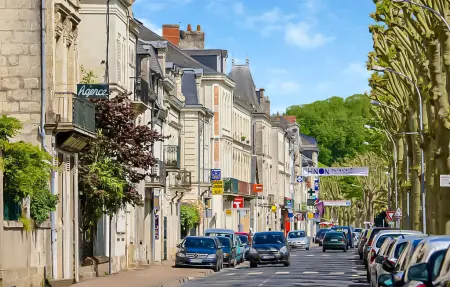 Maison 8 personnes près de la Loire à Anché : photo 19
