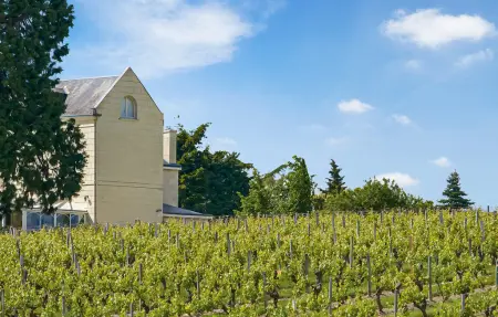 Maison 8 personnes près de la Loire à Anché : photo 20