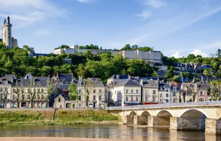 Maison 8 personnes près de la Loire à Anché : photo 21