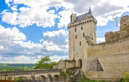 Maison 8 personnes près de la Loire à Anché : photo 24