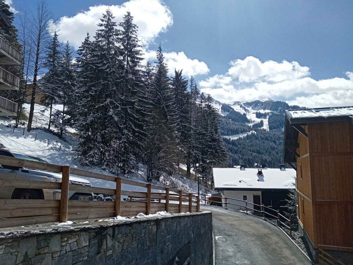 Appartement 46m² Vue Montagne, Navettes Gratuites Châtel - Photo 10