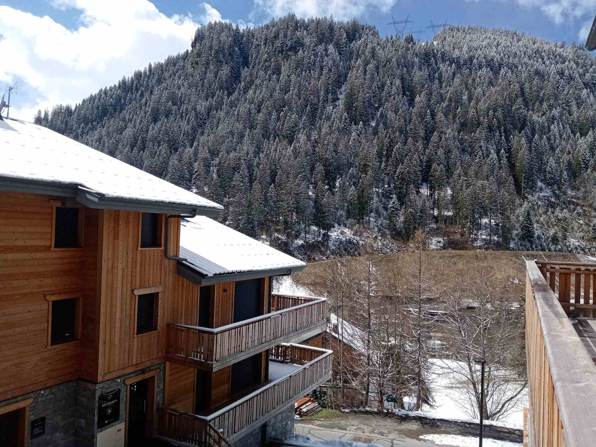 Appartement 46m² Vue Montagne, Navettes Gratuites Châtel - Photo 11