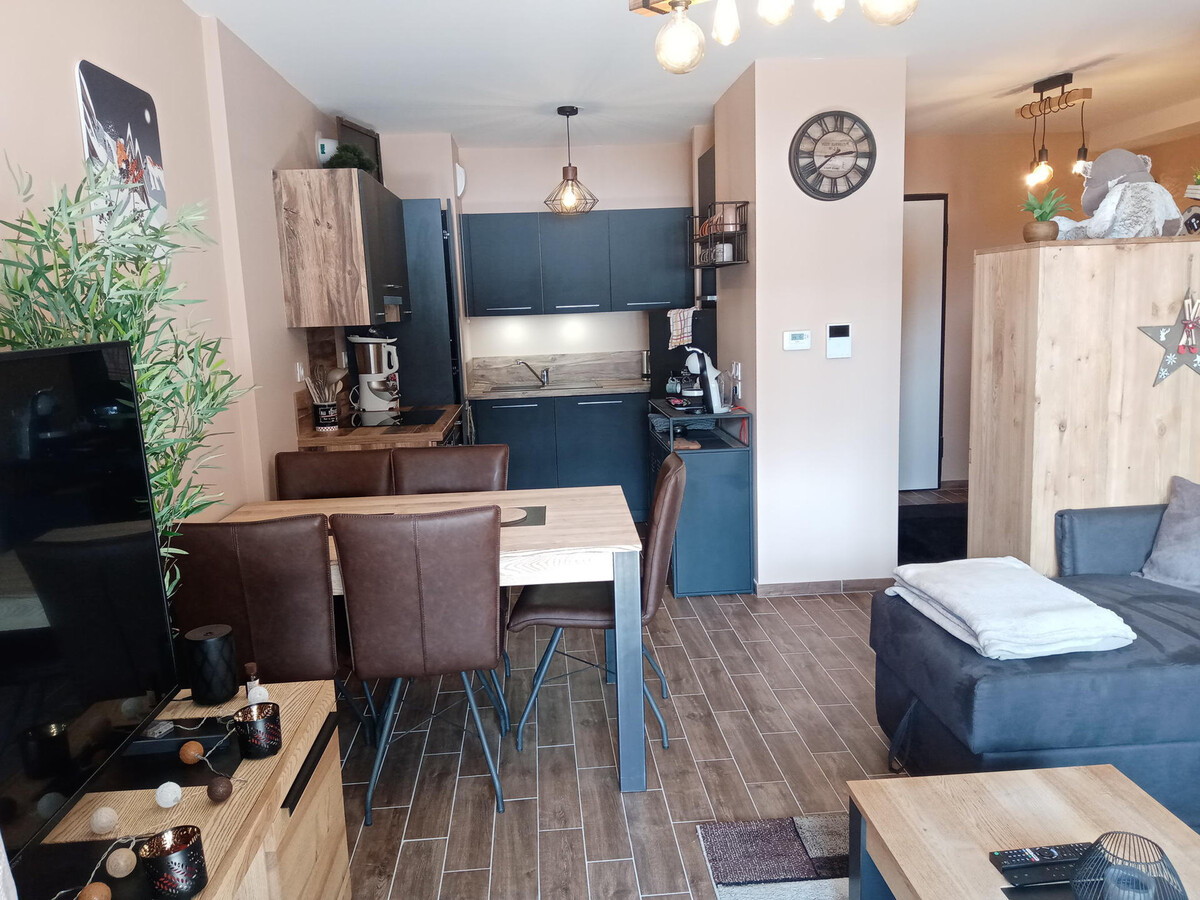Appartement 46m² Vue Montagne, Navettes Gratuites Châtel - Photo 12