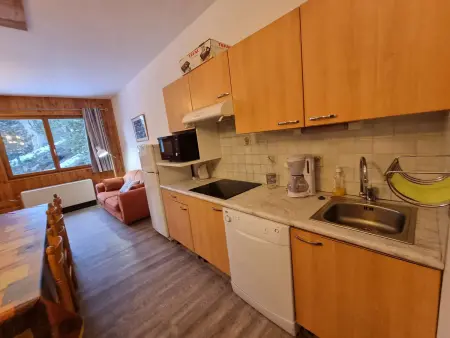 Appartement 10 pers. à Saint-Michel-de-Chaillol, 100 m des pistes : photo 3