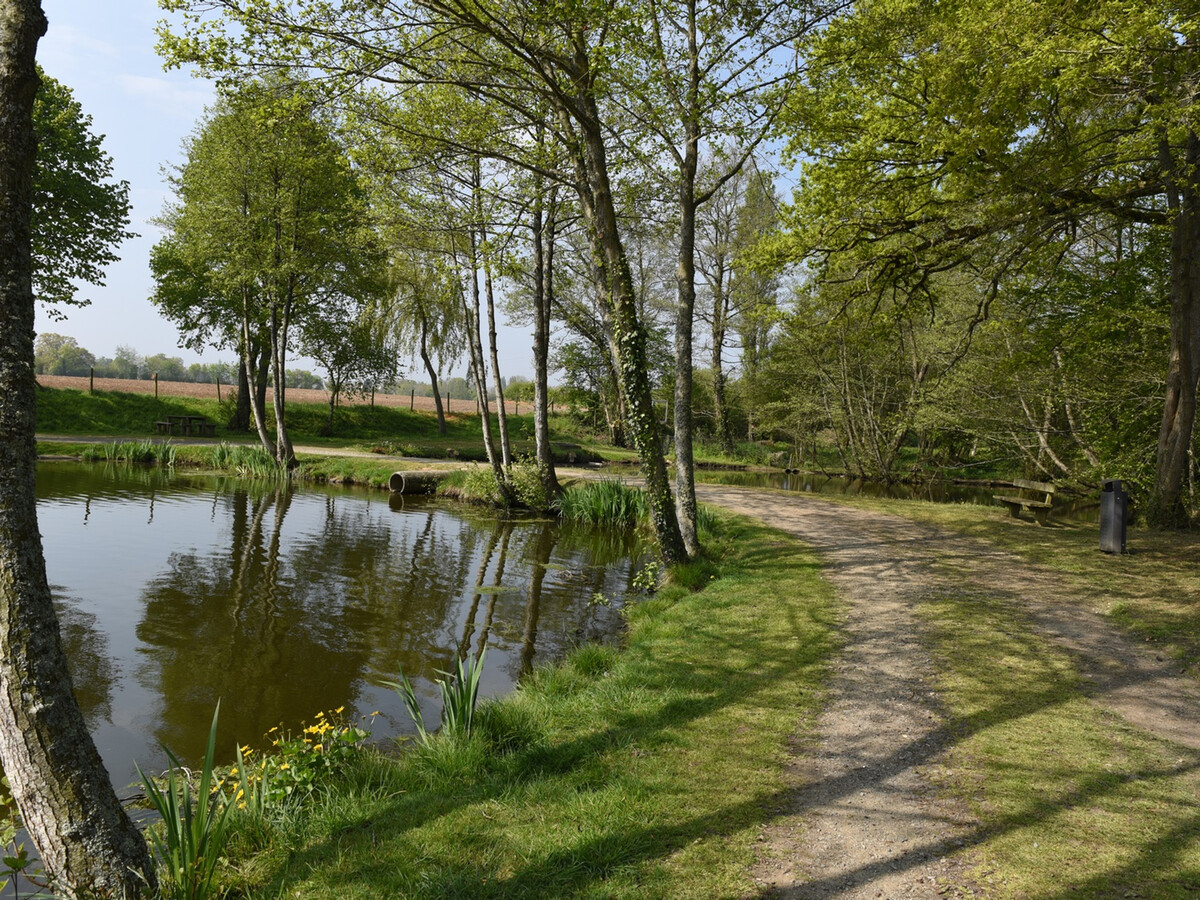 Gîte 4 pers. avec spa privatif et jardin, Athis-Val de Rouvre - Photo 30