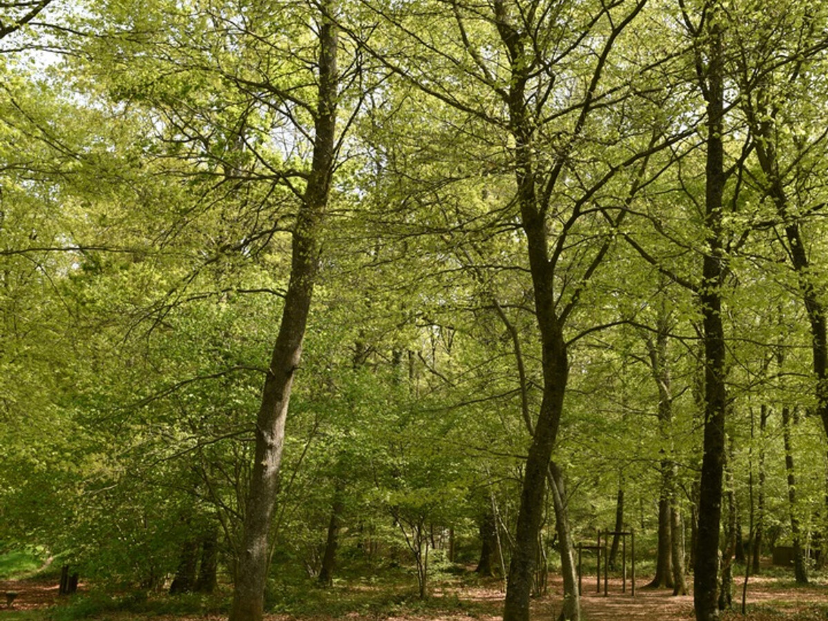 Gîte 4 pers. avec spa privatif et jardin, Athis-Val de Rouvre - Photo 33