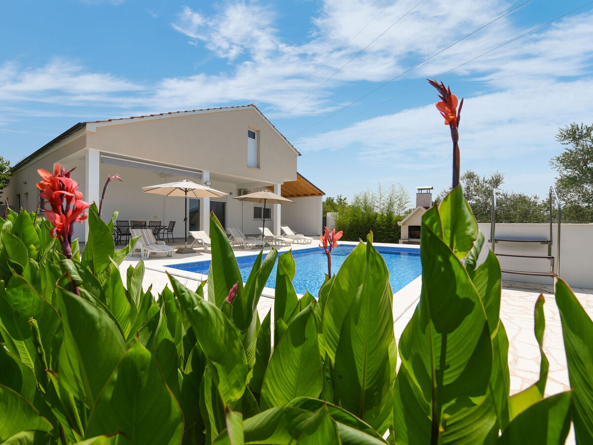 Maison Anima avec piscine privée près de Zadar - Photo 3