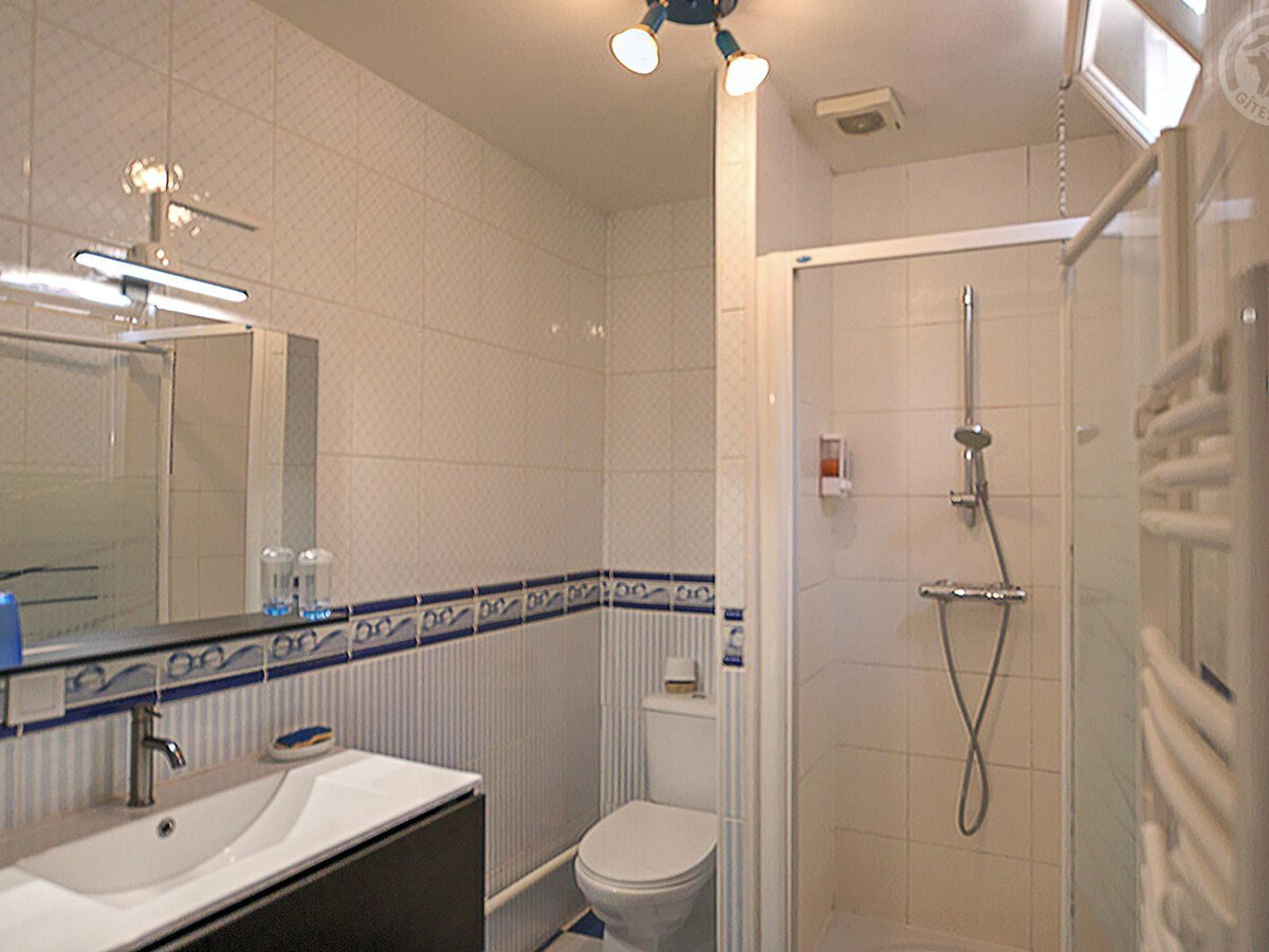Gîte 130m² ancien fermé, terrasse Sud 80m² à Saint-Galmier - Photo 13