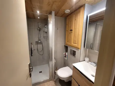 Duplex 6 pers. avec cheminée et vue glaciers à Champagny-en-Vanoise : photo 8