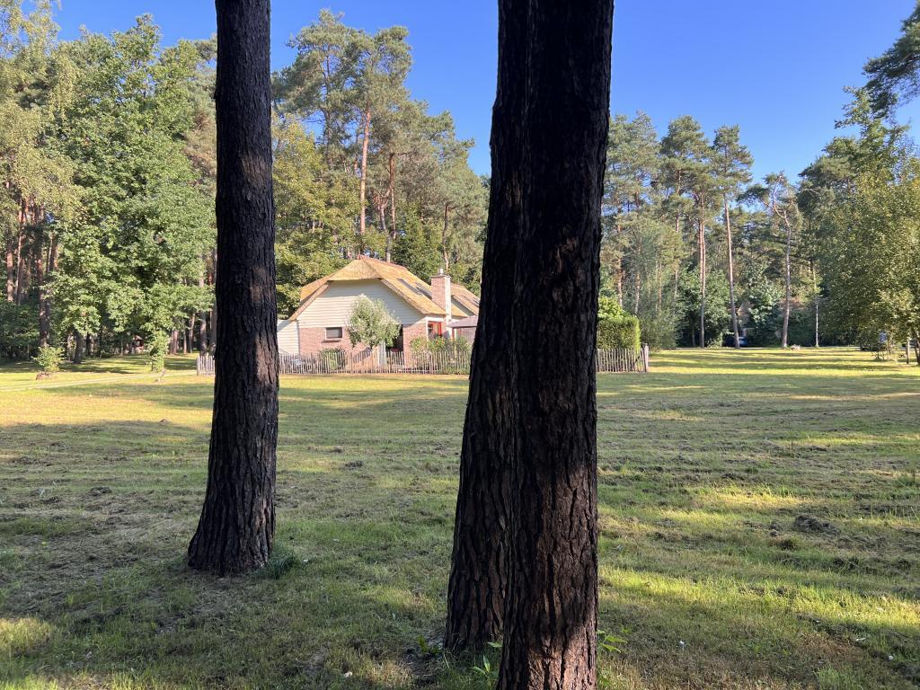 De Lelie : maison de vacances au cœur de la Haute Campine, Rekem - Photo 30