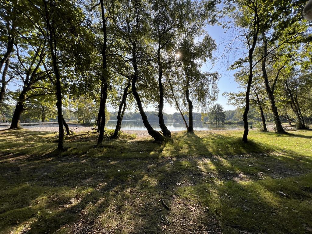 De Lelie : maison de vacances au cœur de la Haute Campine, Rekem - Photo 31