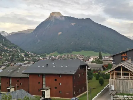 Appartement 3 pièces à Morzine, 6 pers, garage, Appartement 6 personnes à Morzine : photo 14