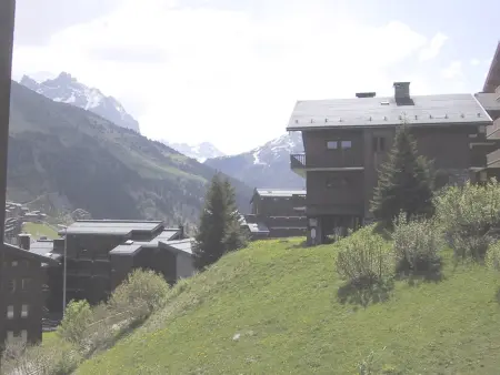 Appartement 2 pièces ascenseur à 150 m des pistes, Méribel : photo 12
