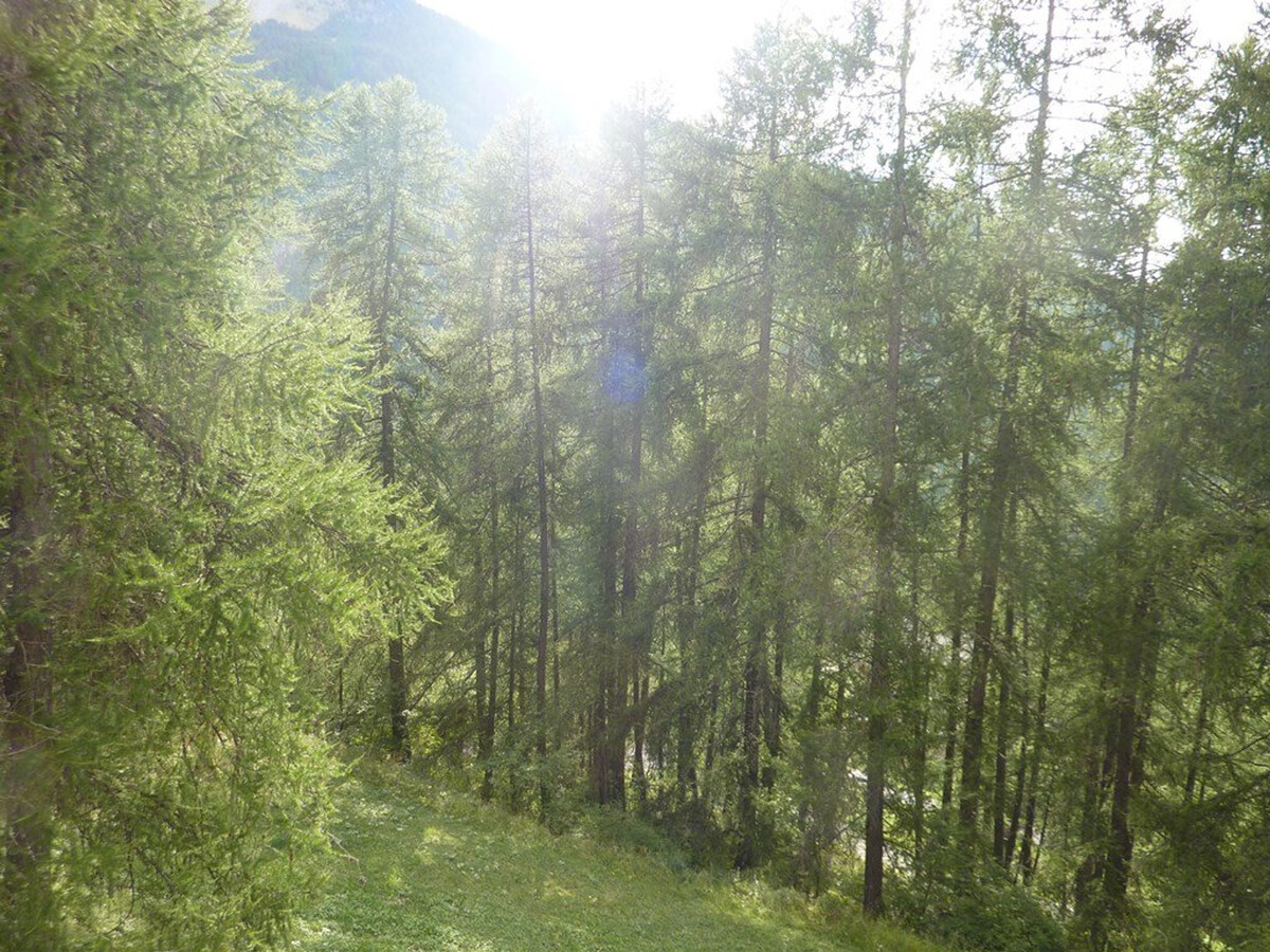 Appartement 6 pers. aux Orres, 100 m des pistes - Photo 9
