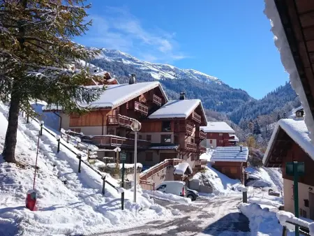Appartement T3 cosy à Arêches, balcon sud-ouest et navette ski : photo 12