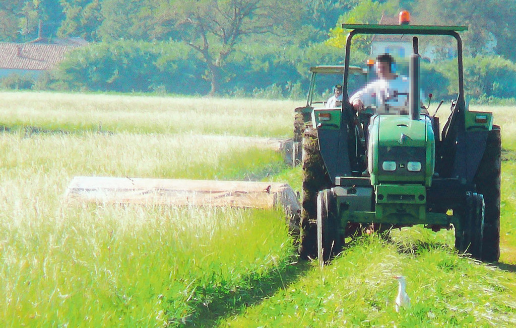 Maison 3 personnes à Arles - Photo 9