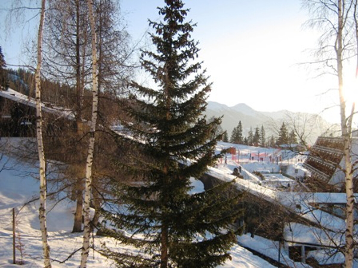 Studio ski aux pieds Arc 1600, 4 pers, animaux admis - Photo 3