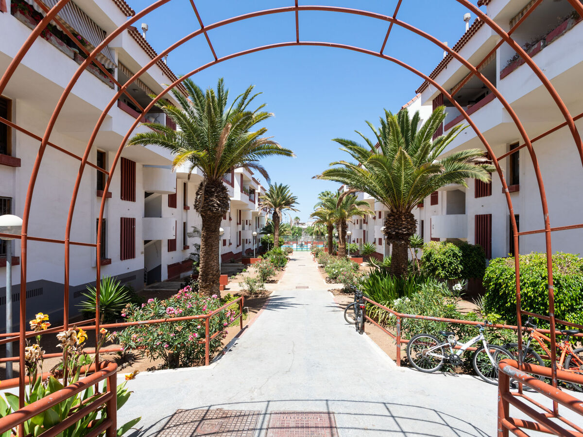 Appartement Altemar H3 - 2 ch., centre Playa de las Américas - Photo 22