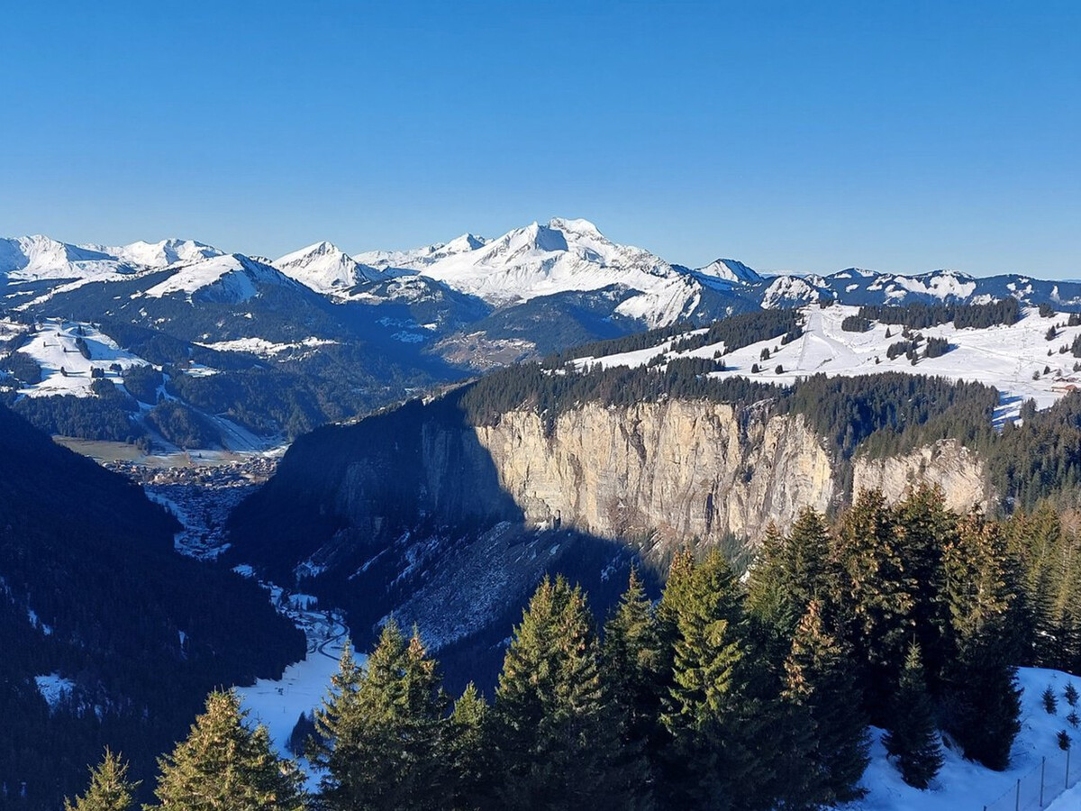 Appart 2 pièces Avoriaz, ski aux pieds, vue vallée - Photo 11