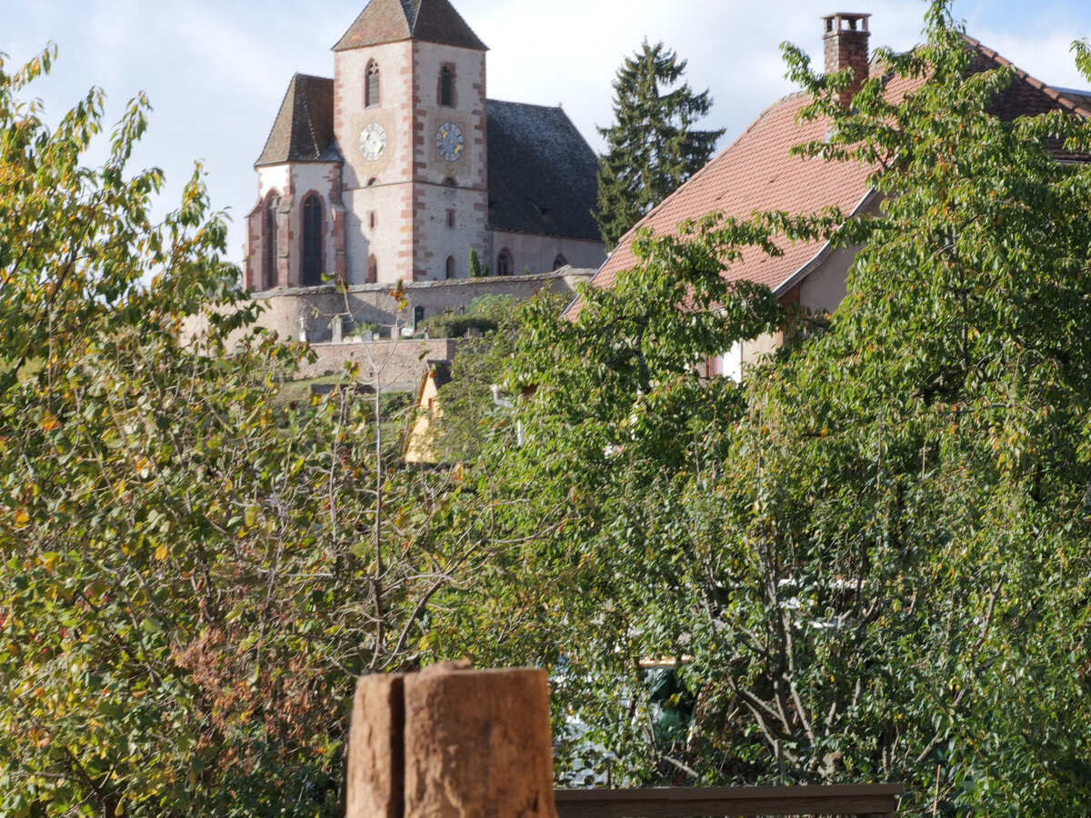 Gîte rénové 4 pers, terrasse et vue sur l'église à Hunawihr - Photo 29