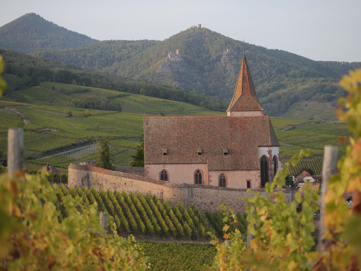 Gîte rénové 4 pers, terrasse et vue sur l'église à Hunawihr - Photo 30
