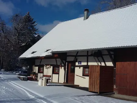 Gîte alsacien accessible 6 pers. | Terrasses & jardin : photo 11