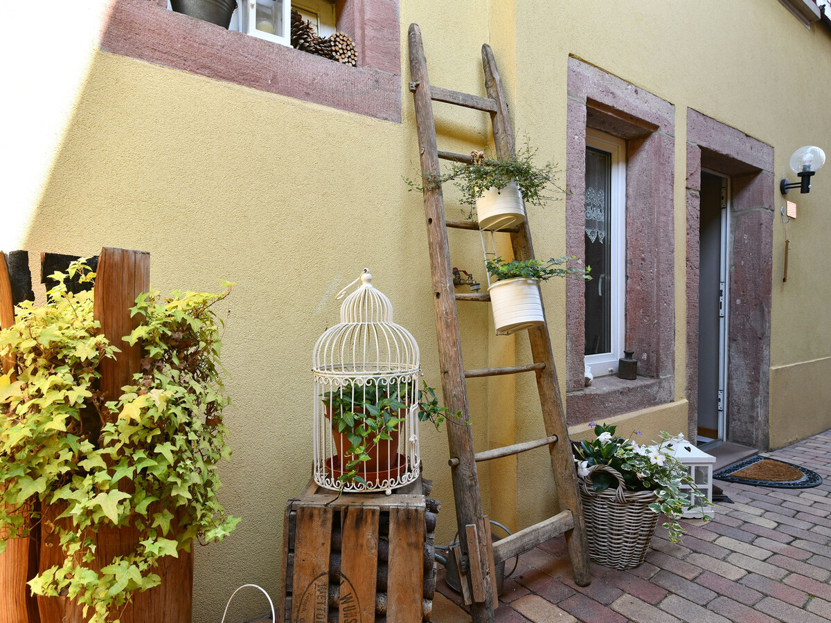Gîte alsacien 75m² climatisé, jardin privatif à Bergholtz - Photo 13