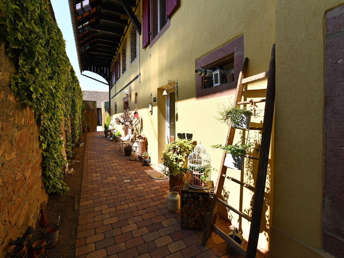 Gîte alsacien 75m² climatisé, jardin privatif à Bergholtz - Photo 15