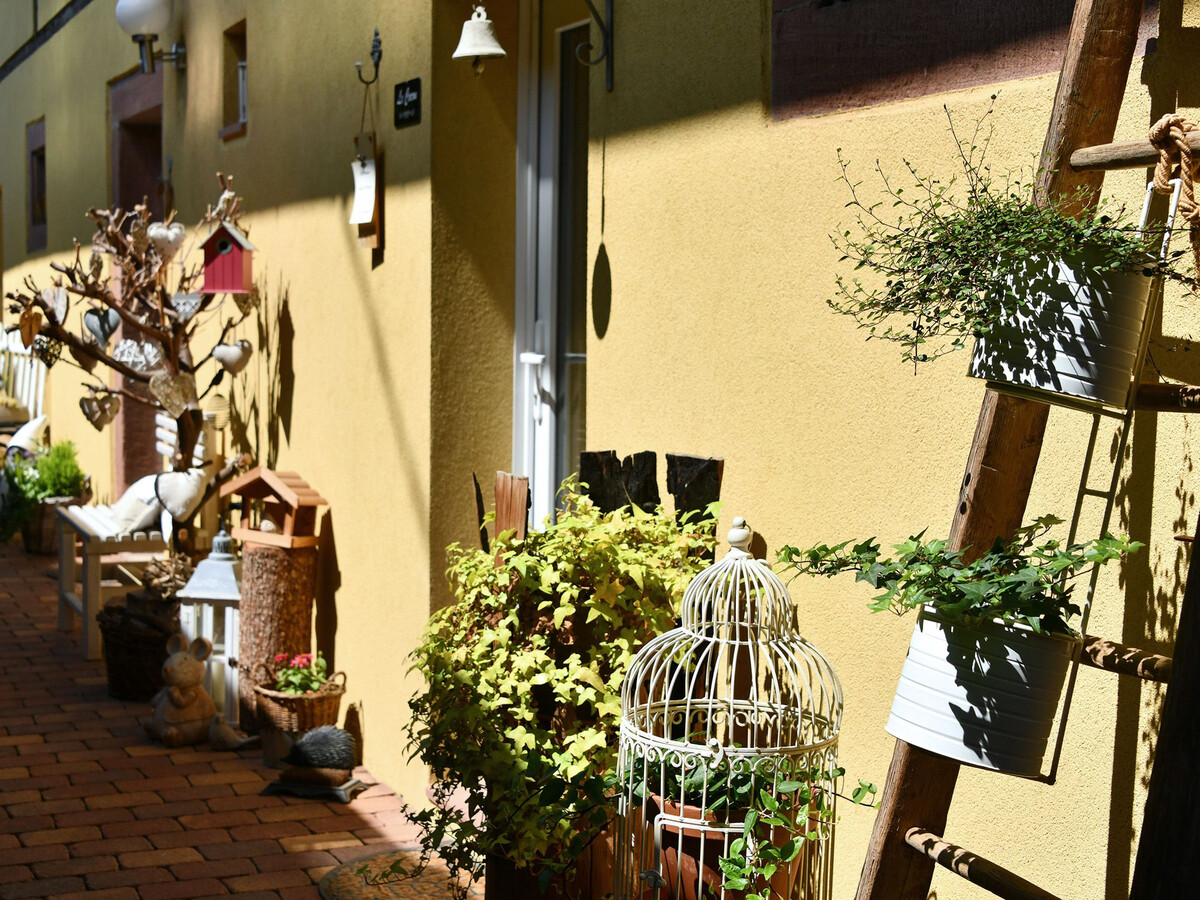 Gîte alsacien 75m² climatisé, jardin privatif à Bergholtz - Photo 16
