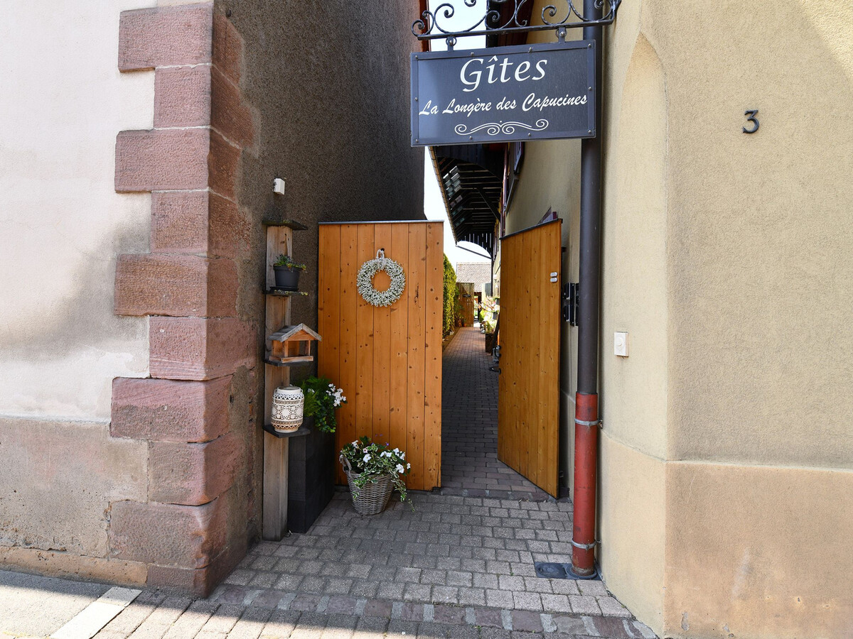 Gîte alsacien 75m² climatisé, jardin privatif à Bergholtz - Photo 30