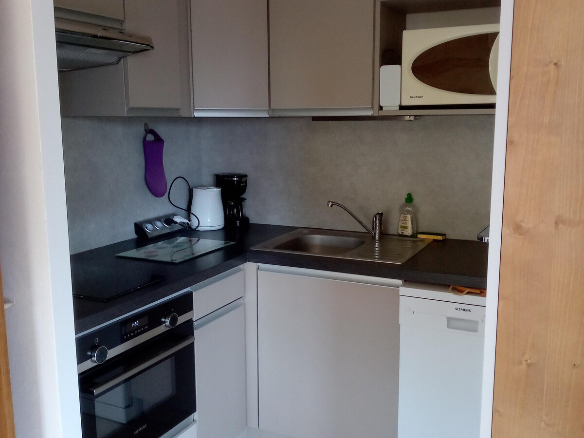 Le Blanche Neige 1 - Appartement 42m² au Chinaillon - Photo 3