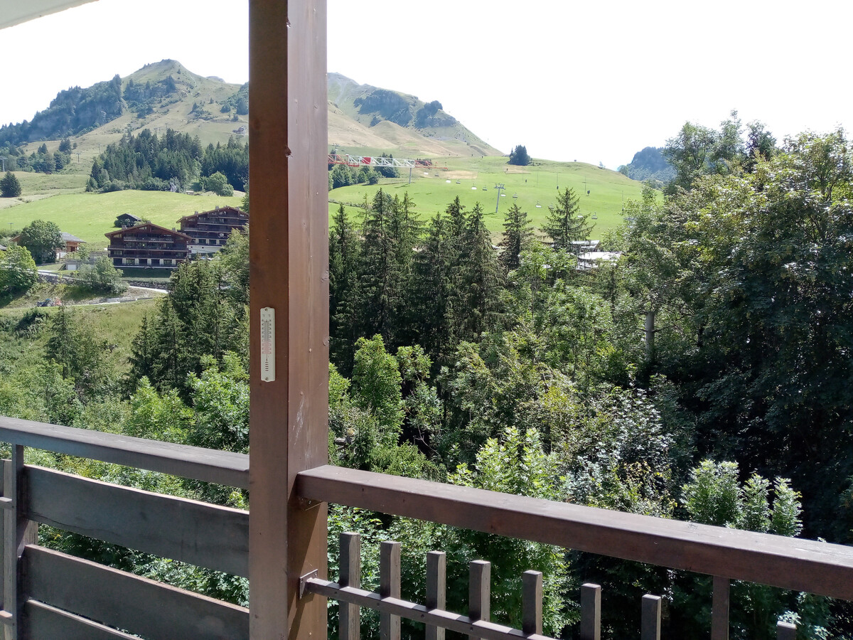 Le Blanche Neige 1 - Appartement 42m² au Chinaillon - Photo 10