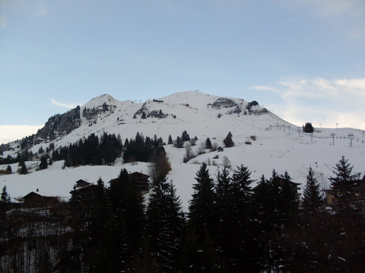 Le Blanche Neige 1 - Appartement 42m² au Chinaillon - Photo 12