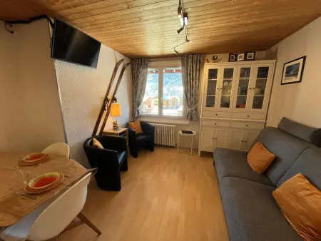 Studio 24 m² aux Gets - Ski-in/Ski-out pied des pistes : photo 2