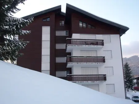 Les Gets: Bel appartement avec grande terrasse, parking et WiFi : photo 17