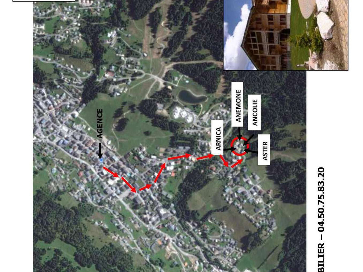 Appartement 3 chambres balcon, 300 m des pistes Les Gets - Photo 17