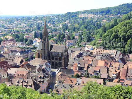 Maison rénovée au cœur de Thann : 3 chambres, cuisine équipée, proche randonnées et villes alsaciennes - Photo 17