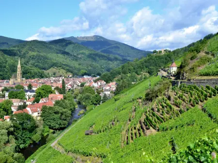 Maison rénovée au cœur de Thann : 3 chambres, cuisine équipée, proche randonnées et villes alsaciennes - Photo 18