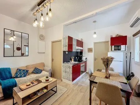Location appartement à Lamalou les Bains, Appartement F2 avec terrasse, climatisation et proche des Thermes - Lamalou-les-Bains