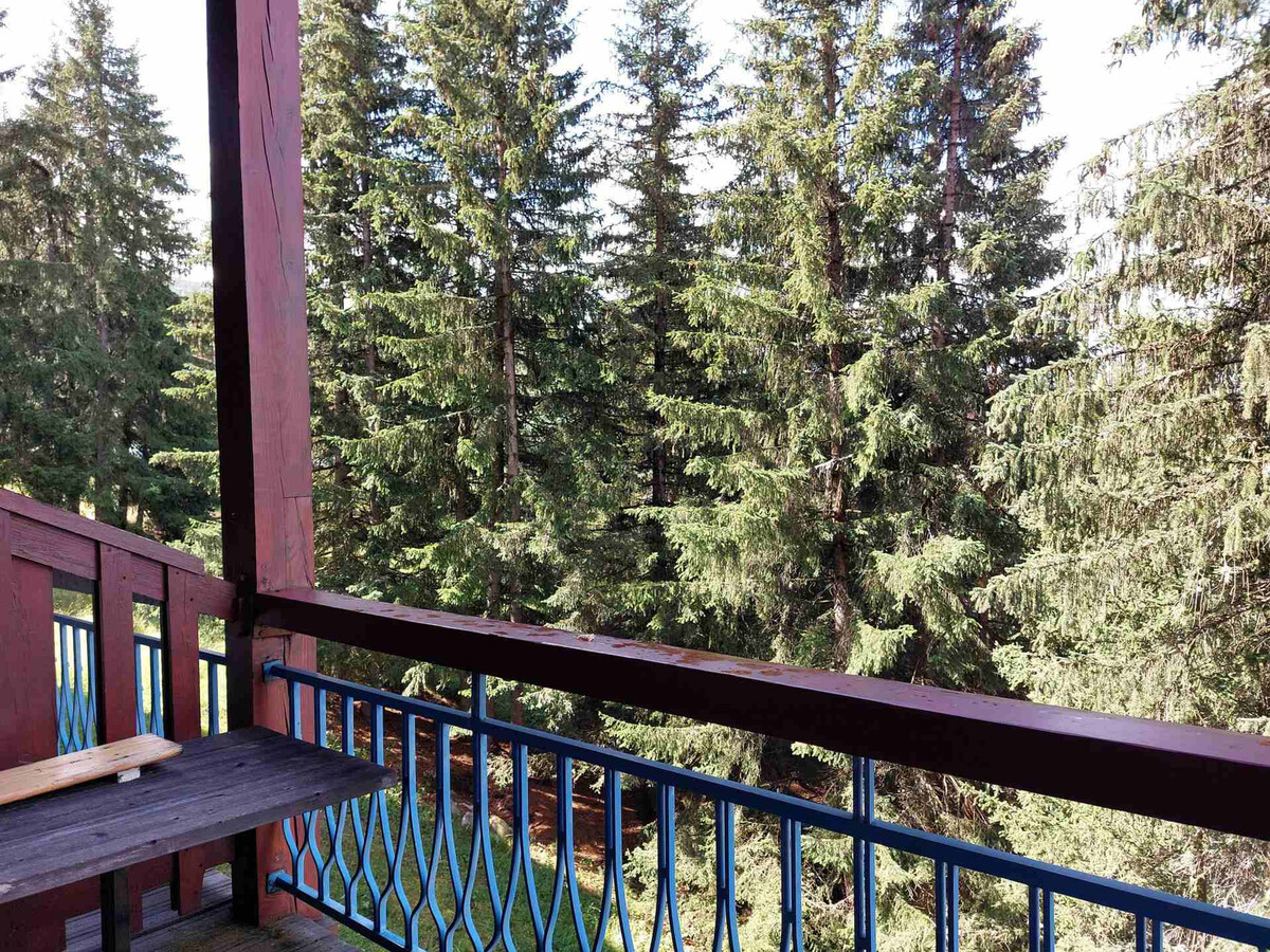 Duplex 2 pièces 5 pers. balcon Sud-Ouest aux Arcs 1800 - Photo 5