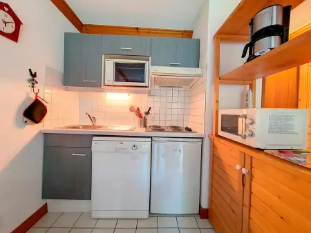 Appartement 6 pers. aux pistes, terrasse sud-ouest à Saint-Martin : photo 6