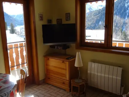 Studio 30 m² à Châtel, 4 personnes, garage inclus : photo 2