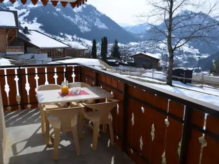 Studio 30 m² à Châtel, 4 personnes, garage inclus : photo 10