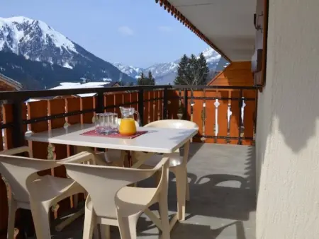 Studio 30 m² à Châtel, 4 personnes, garage inclus : photo 11