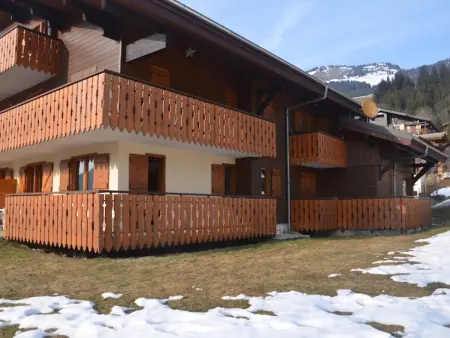 Studio 30 m² à Châtel, 4 personnes, garage inclus : photo 14