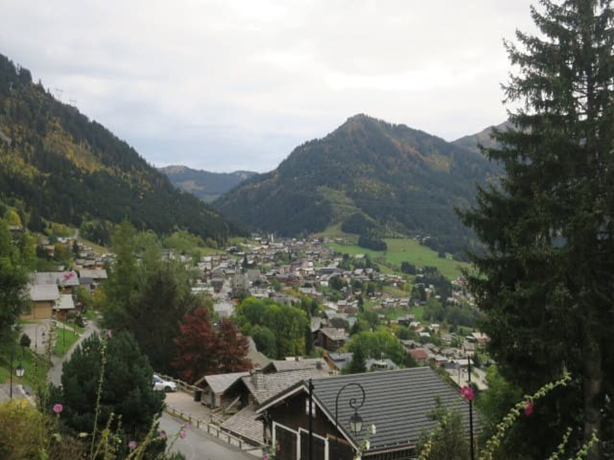 Appartement 2 pièces Châtel, terrasse sud, 5 personnes - Photo 13