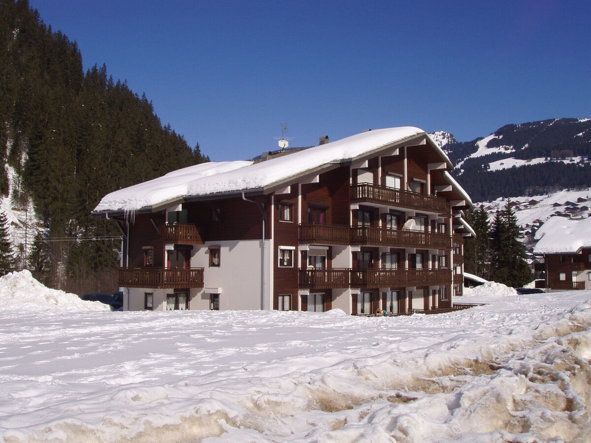 Appartement 4 pers à Châtel, 350 m des pistes ESF - Photo 13