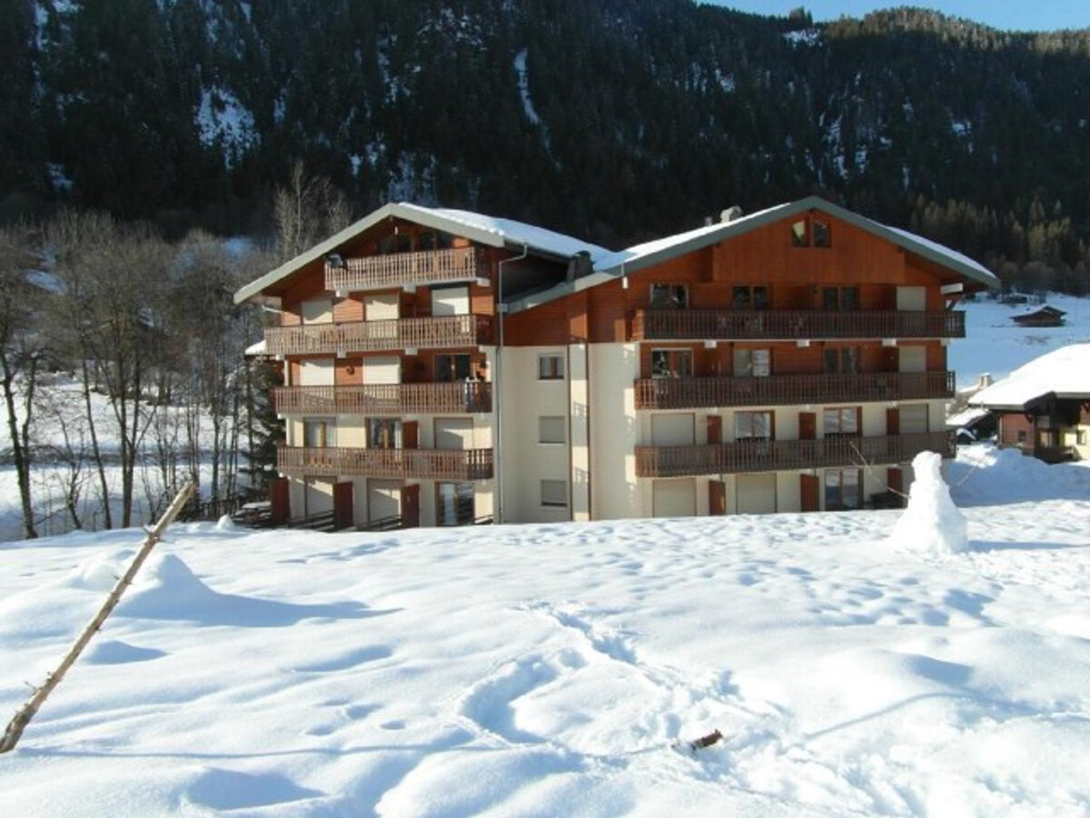 Appartement 3 pièces Châtel, 450 m des pistes - Photo 21