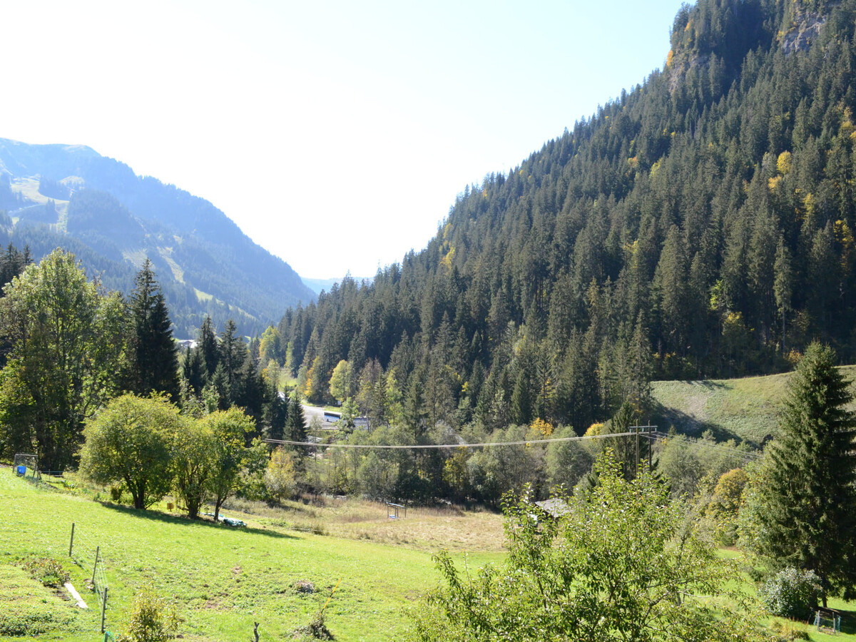 Appartement 3 pièces Châtel, 800 m des remontées - Photo 12