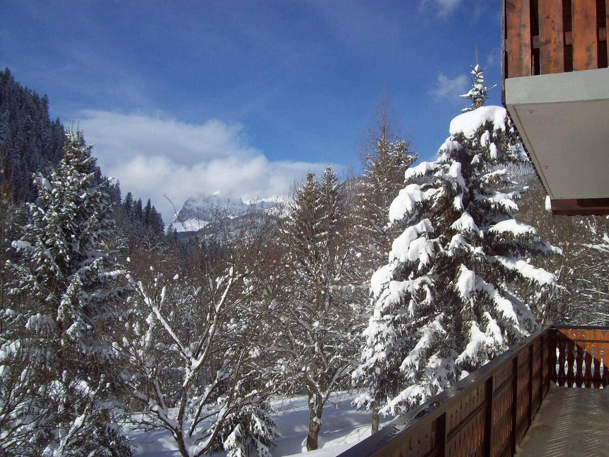 Appartement 3 pièces Châtel, 800 m des remontées - Photo 17